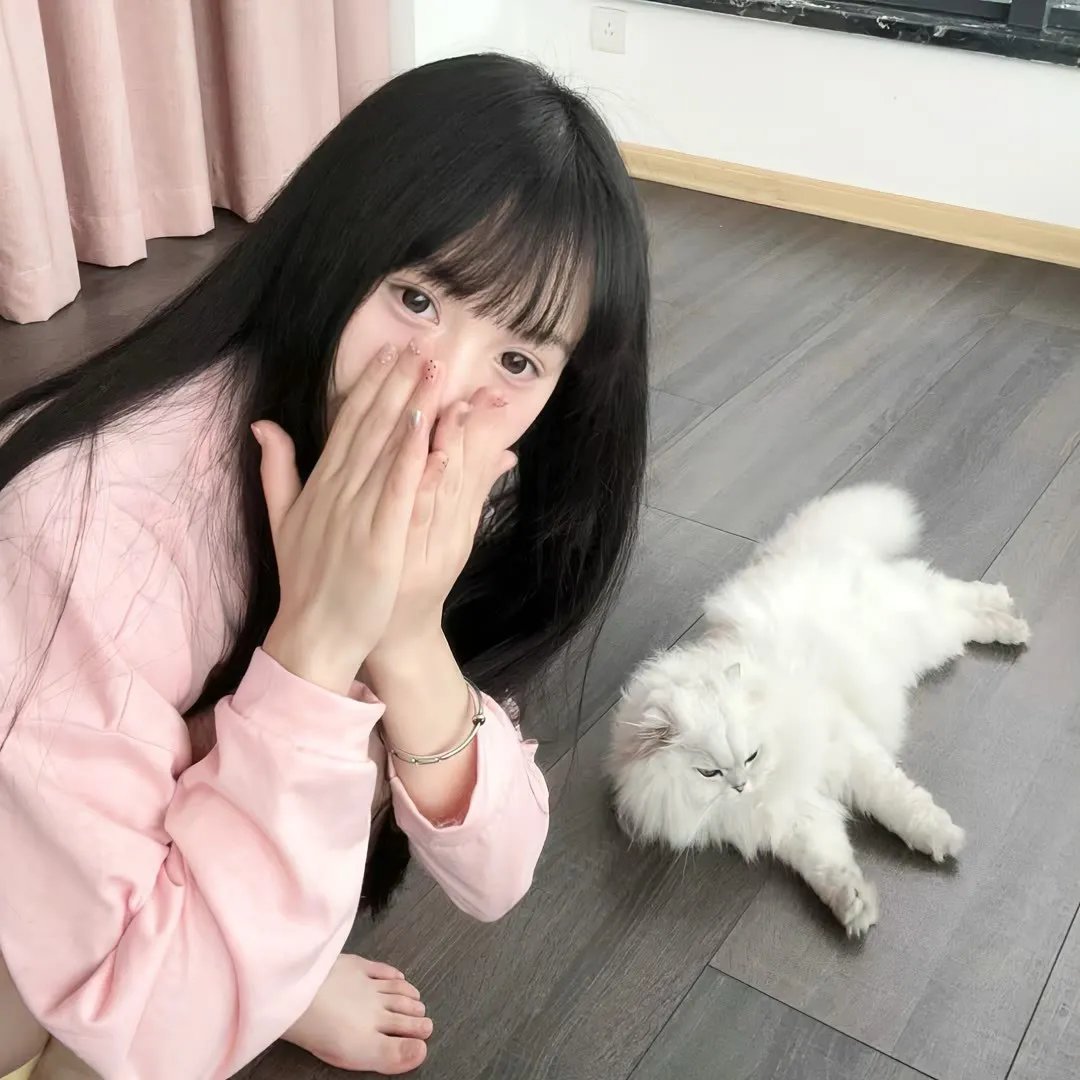 左岸